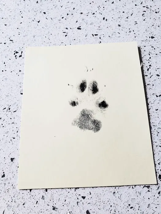 Countryside Veterinary Clinic 12