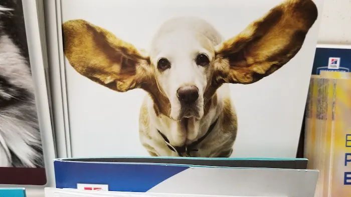 Countryside Veterinary Clinic 12
