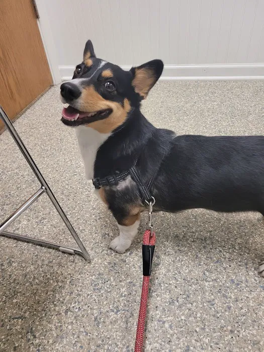Sugar Grove Animal Hospital 12