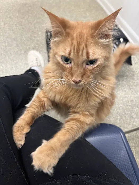 Sugar Grove Animal Hospital 12