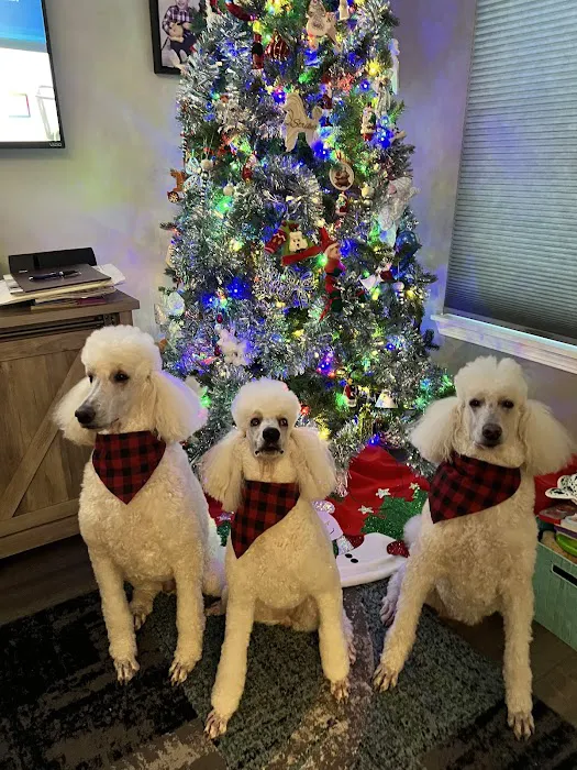 Shorewood Animal Hospital 12