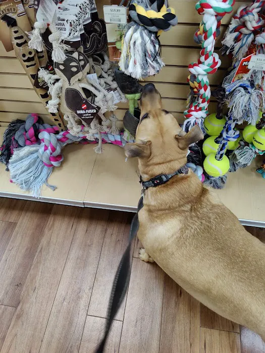 Pet Supermarket 12