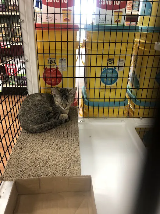 Pet Supermarket 12
