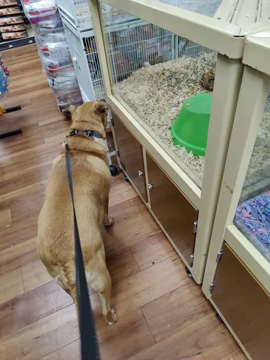 Pet Supermarket 12