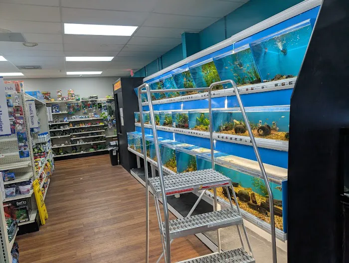 Pet Supermarket 12