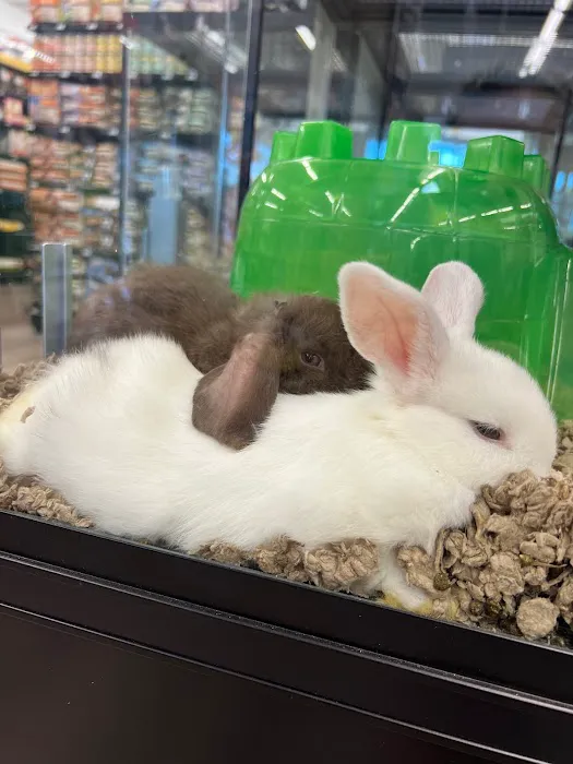Pet Supermarket 12