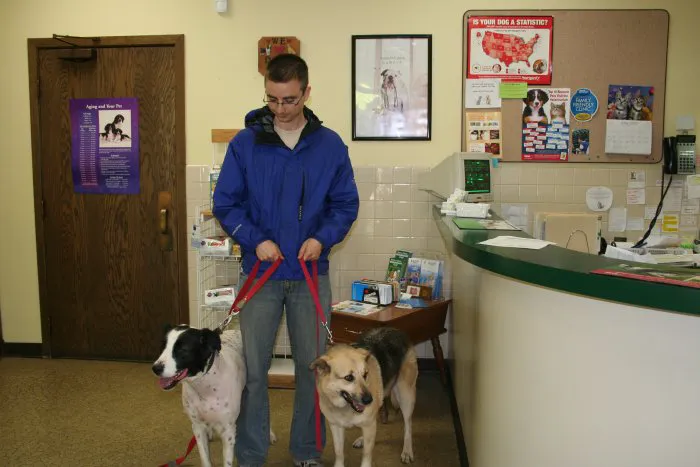 VCA Joliet Animal Hospital 12