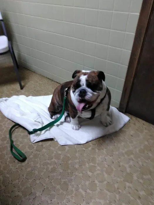 VCA Joliet Animal Hospital 12