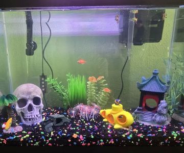 aquamania aquarium store