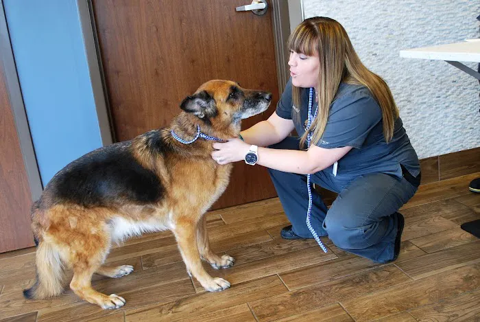 Animal Care Center of Shorewood 12