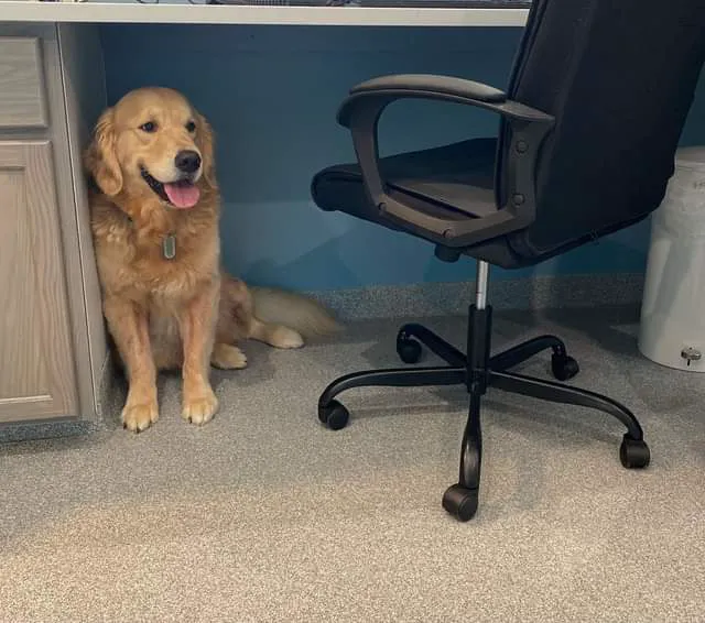 Rusty Ridge Animal Center - Veterinary Hospital & Luxury Pet Lodging/Daycare 5