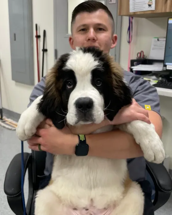 Rusty Ridge Animal Center - Veterinary Hospital & Luxury Pet Lodging/Daycare 1