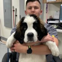 Rusty Ridge Animal Center - Veterinary Hospital & Luxury Pet Lodging/Daycare ico