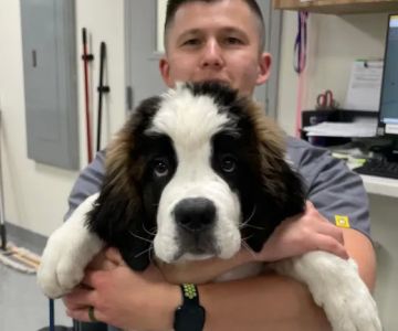 Rusty Ridge Animal Center - Veterinary Hospital & Luxury Pet Lodging/Daycare