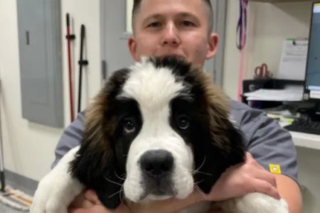 Rusty Ridge Animal Center - Veterinary Hospital & Luxury Pet Lodging/Daycare