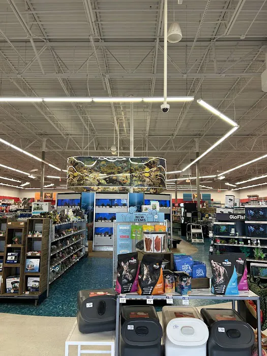 Petco 12
