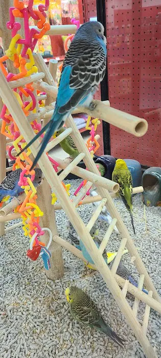 Petco 12