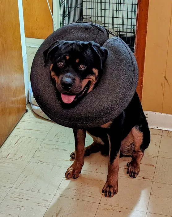 Blue Cross Dog & Cat Hospital 1