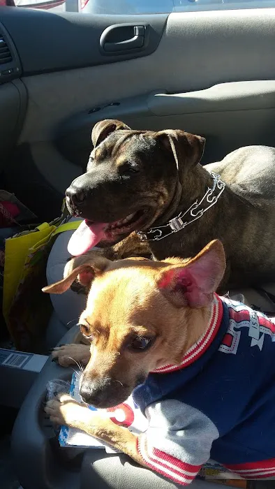 Blue Cross Dog & Cat Hospital 4