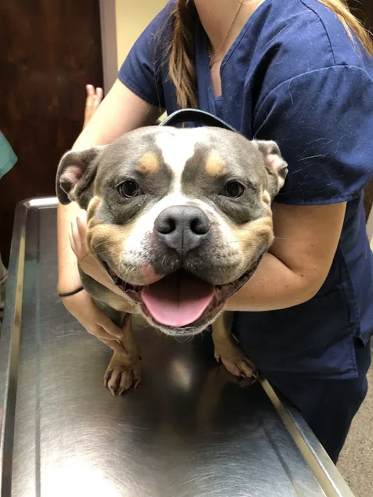 Blue Cross Dog & Cat Hospital 7