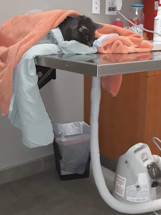 Sova Animal Hospital-Paterson 5