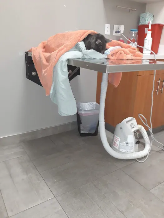 Sova Animal Hospital-Paterson 6