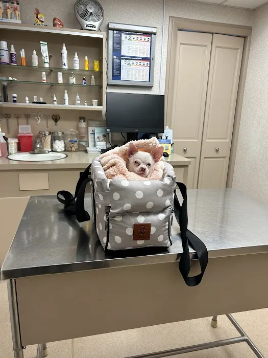 Meisels Animal Hospital 7