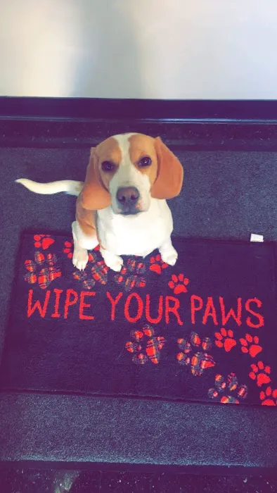 Clifton Dog & Cat Hospital 8