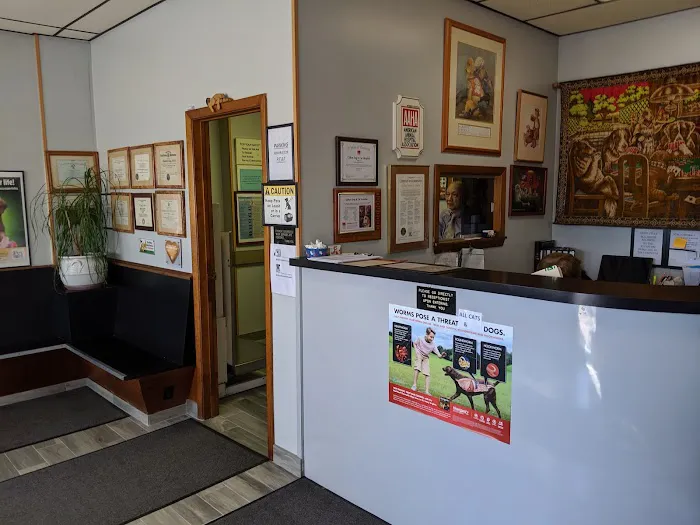 Clifton Dog & Cat Hospital 2