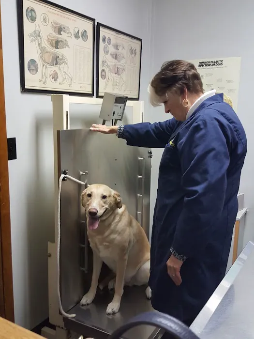 Clifton Dog & Cat Hospital 7