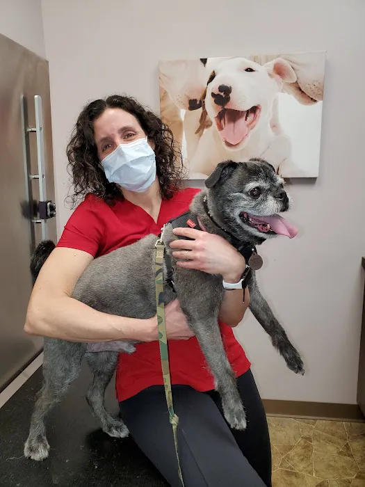 Healing Paws Veterinary Care 3