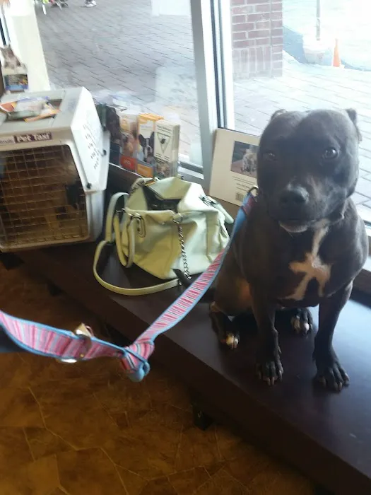 Healing Paws Veterinary Care 7