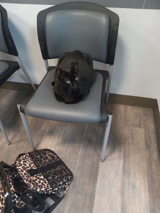 Healing Paws Veterinary Care 10