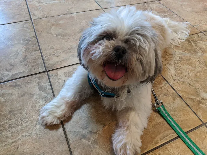 VCA Morris Plains Animal Hospital 8
