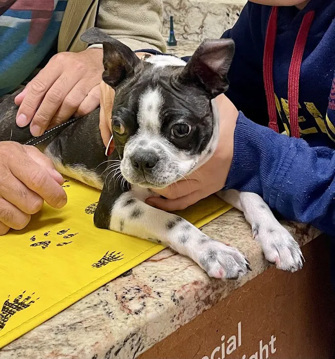 VCA Morris Plains Animal Hospital 2