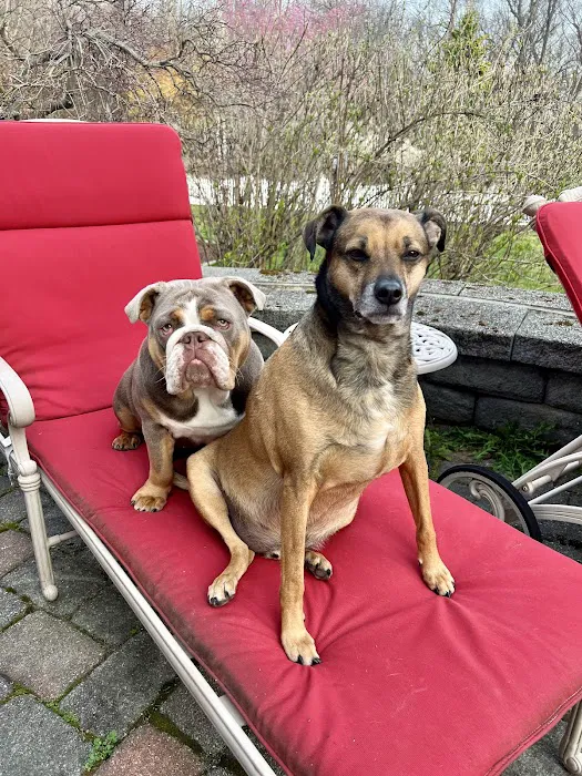 VCA Morris Plains Animal Hospital 6