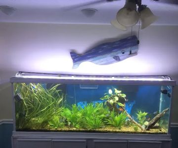 A&R Aquariums