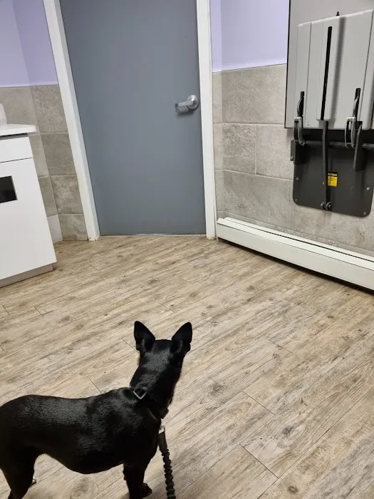 Rockaway Animal Hospital 2