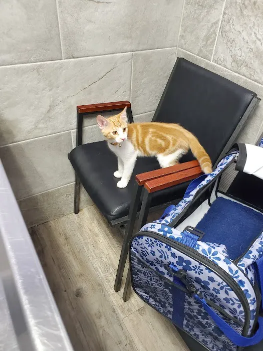 Rockaway Animal Hospital 1