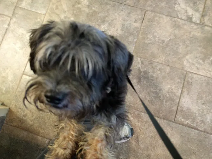 Livingston Animal Hospital 4