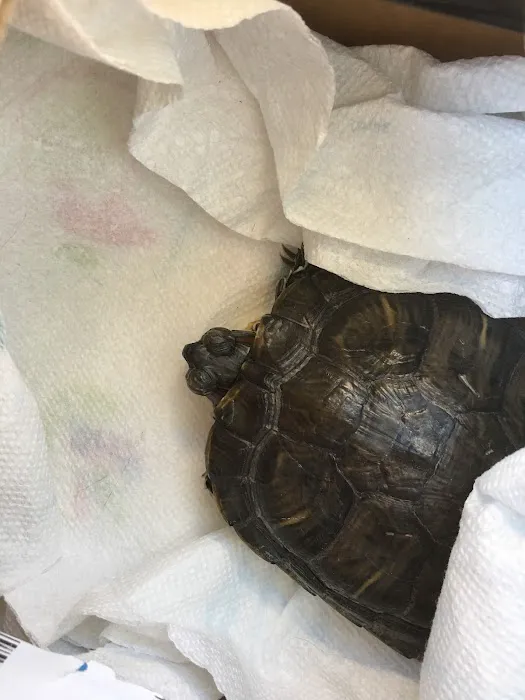 Livingston Animal Hospital 5