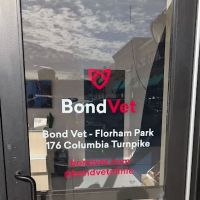 Bond Vet - Florham Park ico
