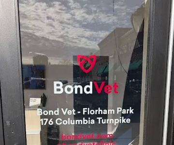 Bond Vet - Florham Park