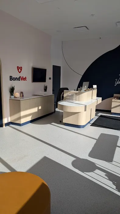 Bond Vet - Florham Park 8