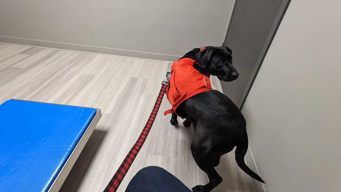 Veterinary Center of Morris County at Florham Park 1