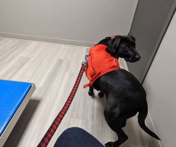 Veterinary Center of Morris County at Florham Park