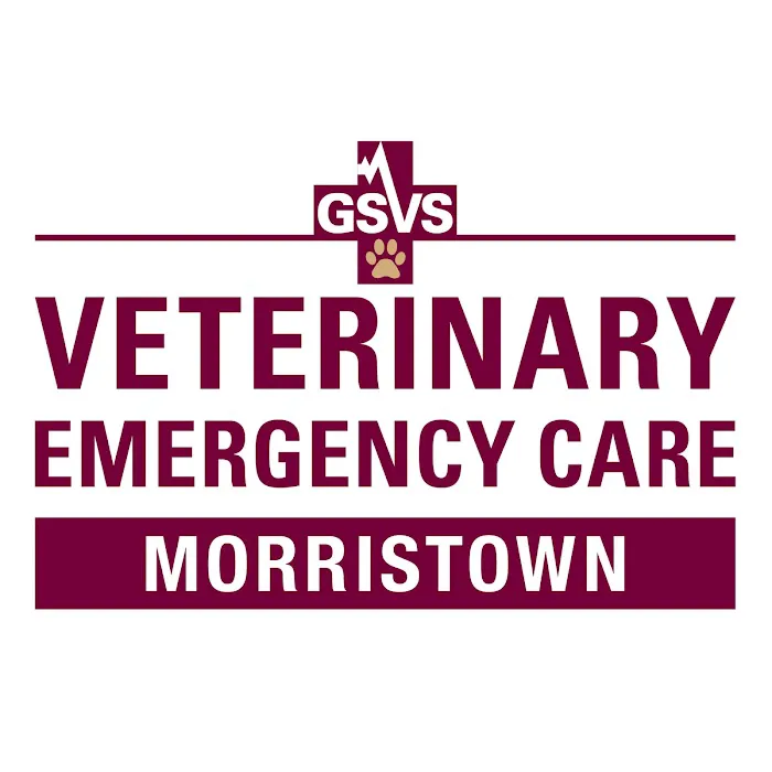 GSVS Veterinary Emergency Care Morristown 3