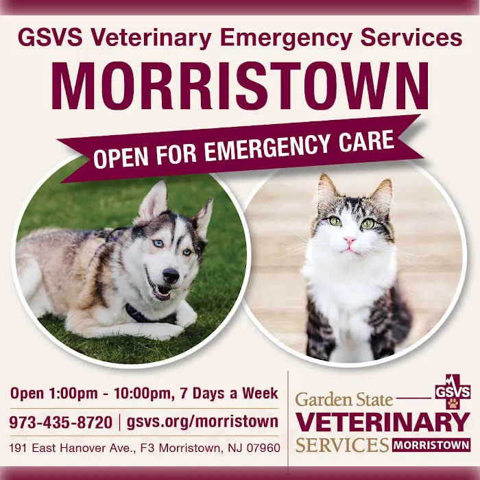 GSVS Veterinary Emergency Care Morristown 2