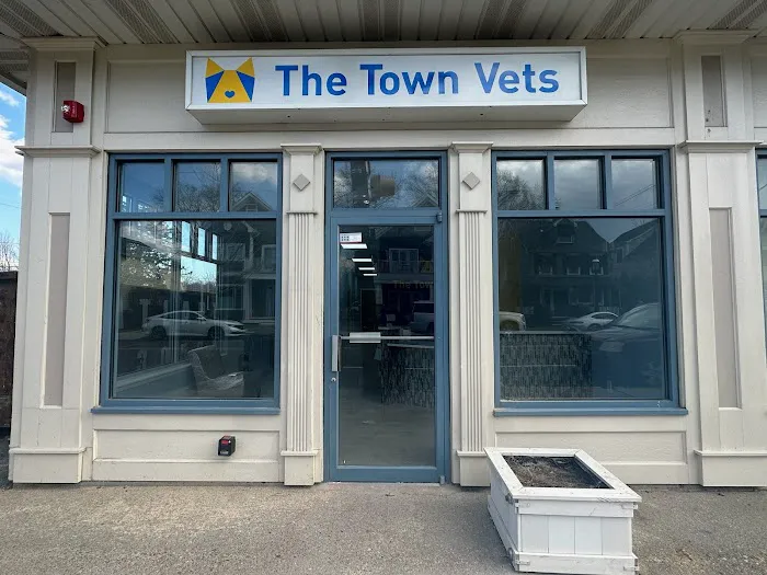 The Town Vets 9