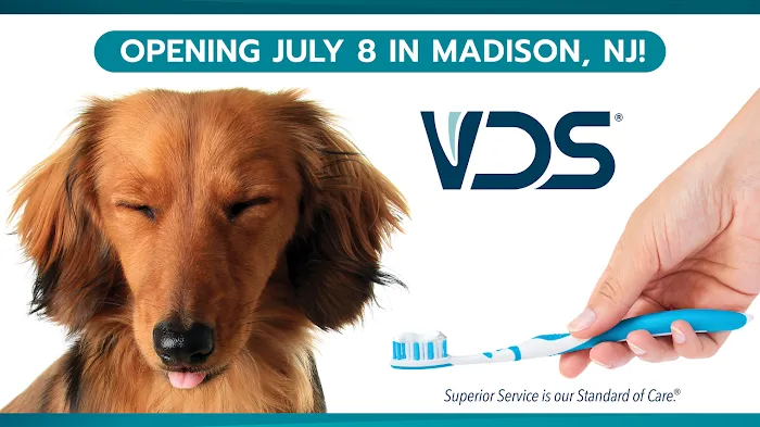 Veterinary Dentistry Specialists 1